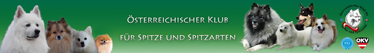 banner-spitzklub